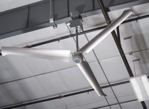 BLADETEC商品写真4